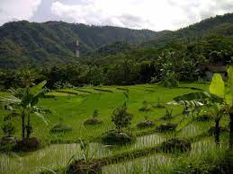 Wisata alam di Desa Ciulu